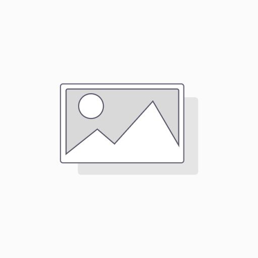 MÚSICA – Projectes